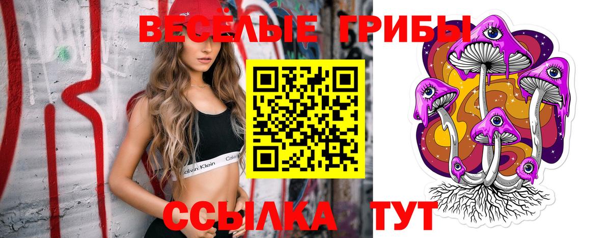 Назрань  Галлюциногенные грибы мухоморы  Псилоцибиновые грибы Magic Shrooms  Вход с VPN 